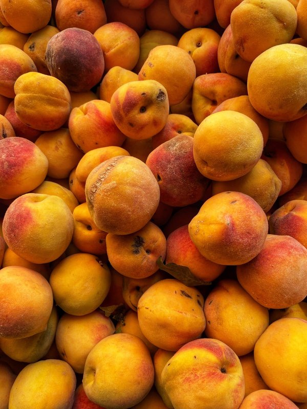 Quelles sont les meilleures excursions de pêche en haute mer en Australie ?